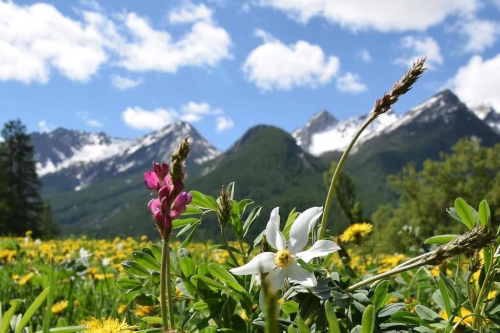 Nice Appt In Briancon Les Charmettes Dış mekan fotoğraf